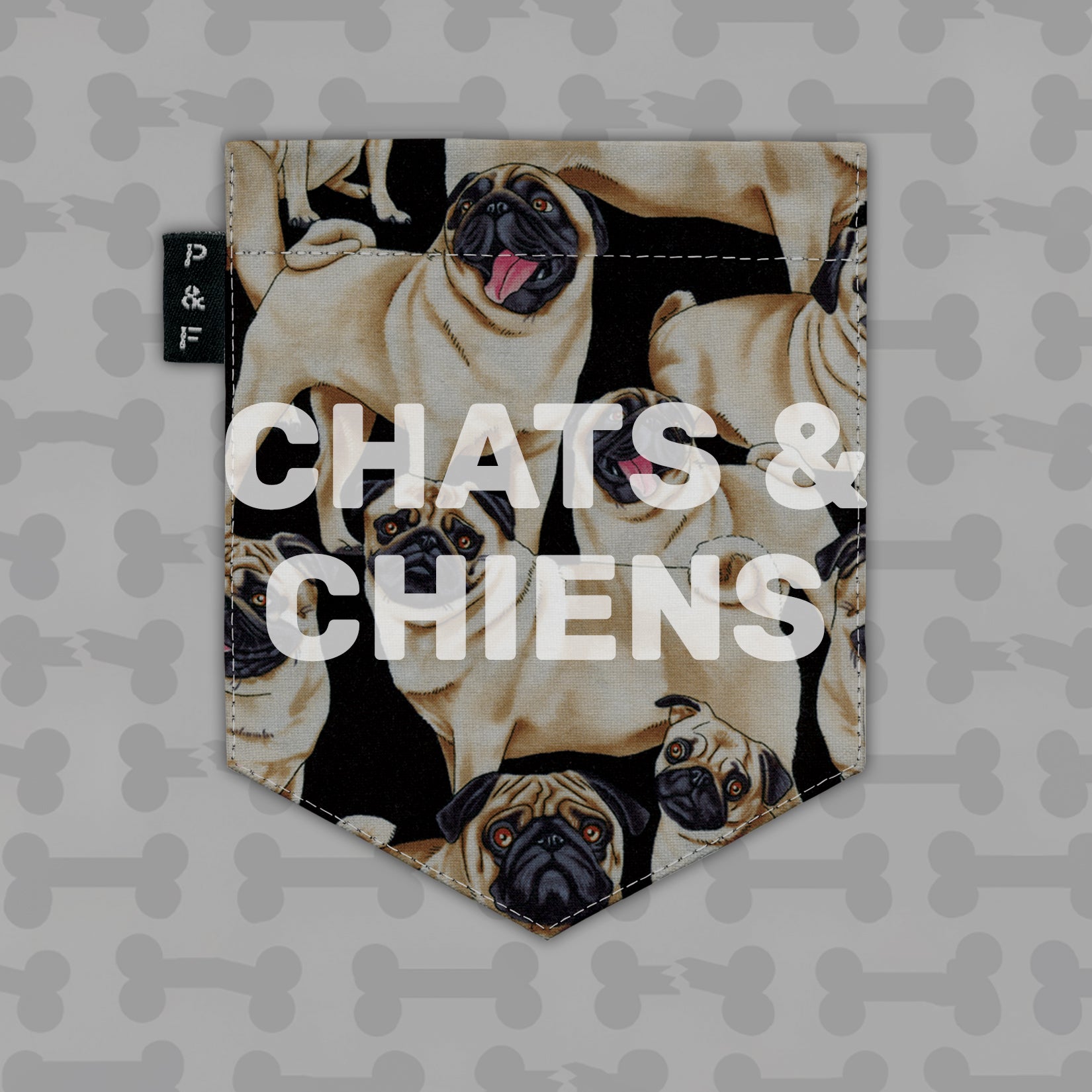 Catégorie - Chats et Chiens