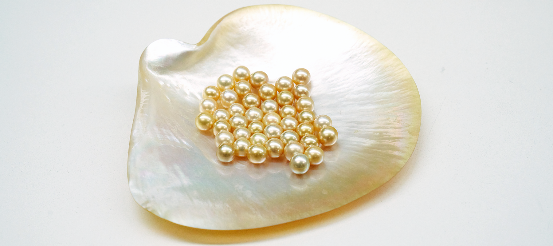 Sustainable Jewelry – Why Fine Saltwater Cultured Pearls are Sustainable  Gems - Assael
