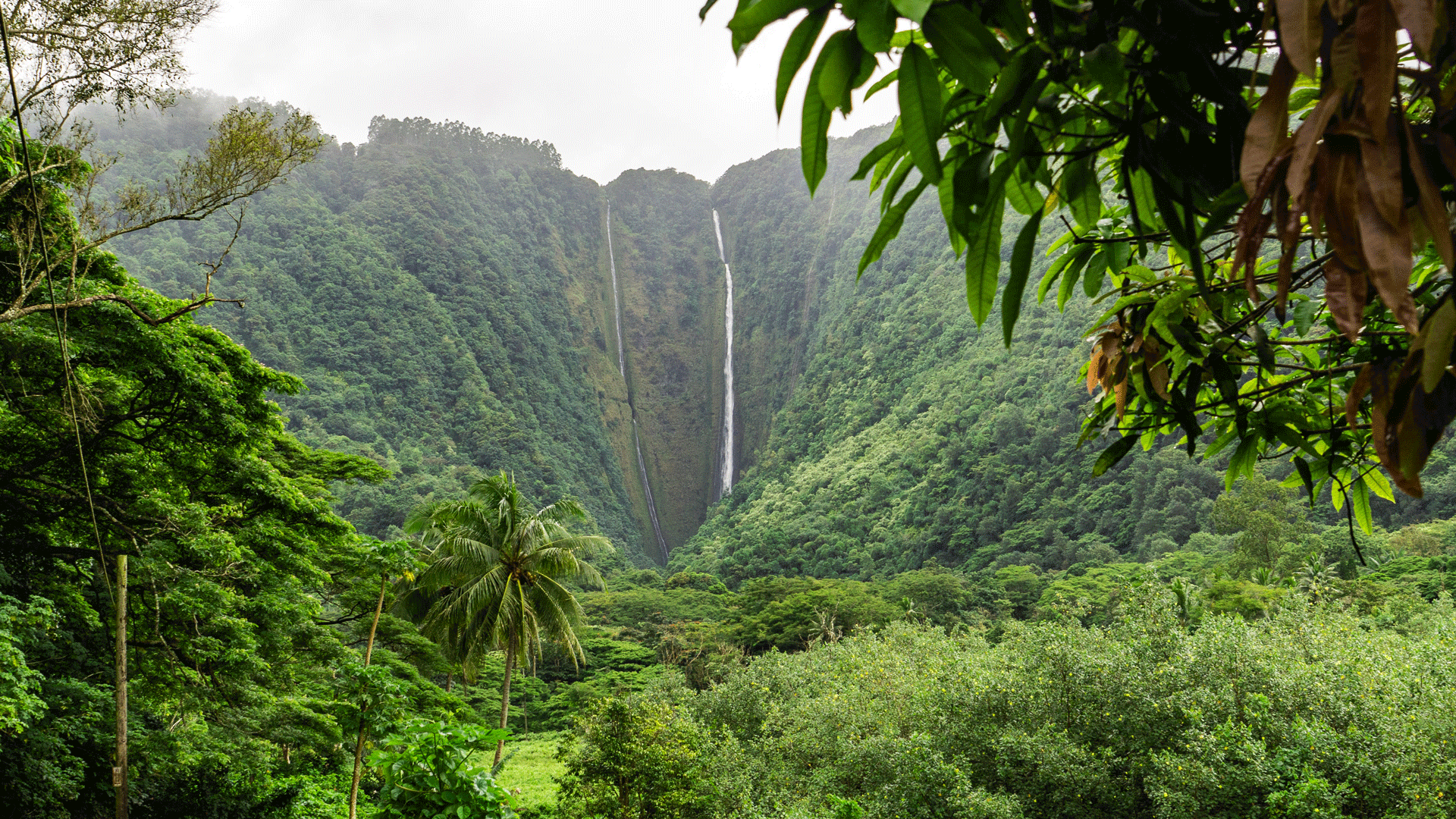 Waipiʻo Valley