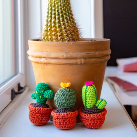 Colorful Cacti Amigurumi Knit or Crochet Kit