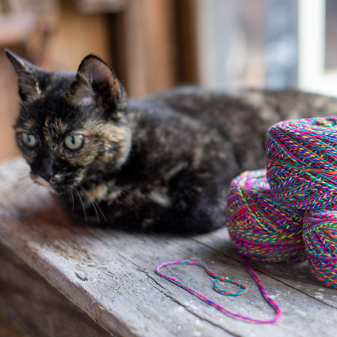 A gray cat is lounging on a wooden table, to the left of some stacked DGY brand yarn. 