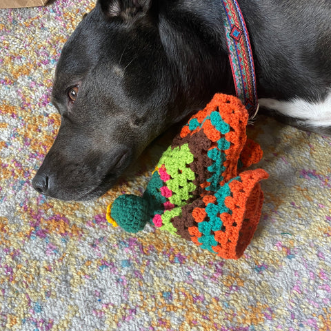 A dog snuggling with the cactus amigurumi snuggie on a colorful rug