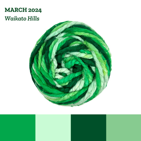 Darn Good Yarn of the Month March: Waikato Hills, a variegated green 2-ply worsted weight recycled silk yarn