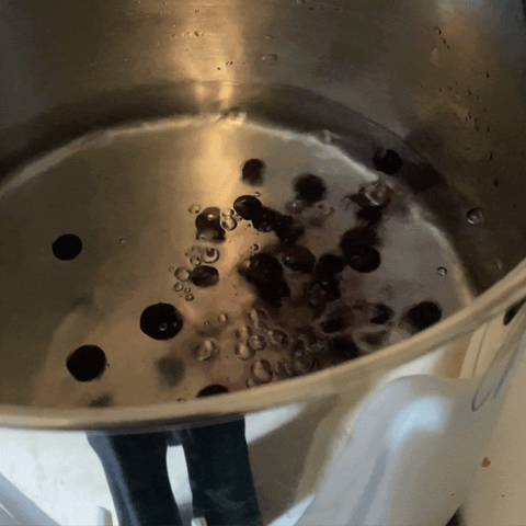 A close up GIF of the silver pot of water. The blueberries are dropping into the water, turning the water slightly purple.