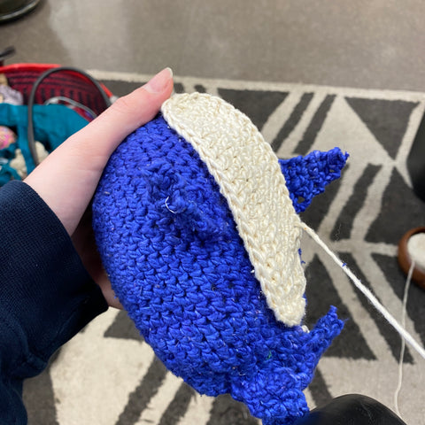 An amigurumi shark is flipped onto it's back, showing how the white belly is sewn onto the blue belly