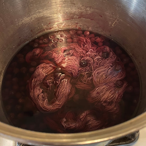 A pot of purple water, white yarn, and blueberries, are simmering away on the stovetop, dyeing the yarn naturally.