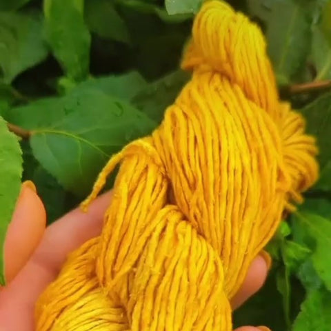 A pale hands holds a skein of turmeric dyed yarn, which is a bright yellow, against some healthy green leaves!