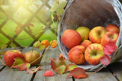 Halloween treats - apples