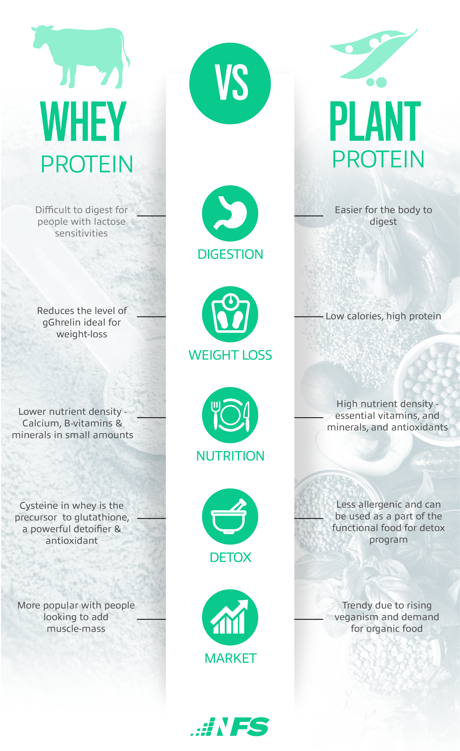 Plant-Based Protein vs Whey Protein: The Ultimate Supplement Guide – NF ...