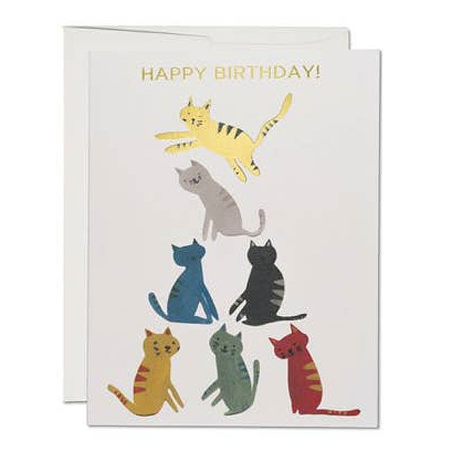 Gold Kitty Birthday Card