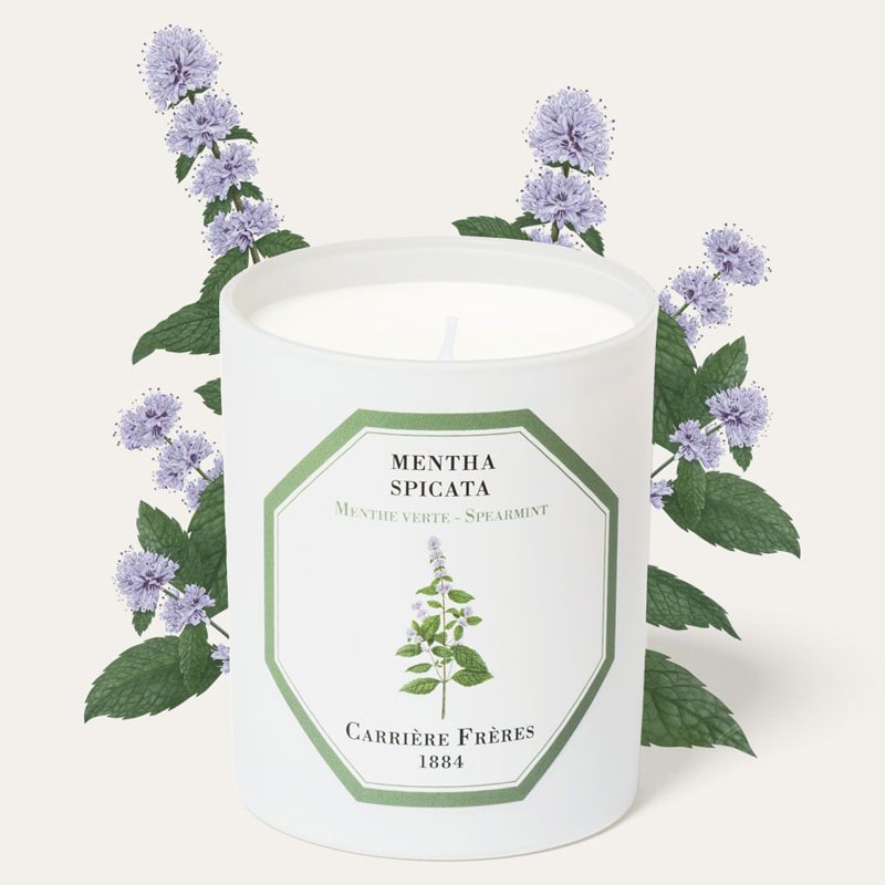 Carriere Freres Spearmint Candle (6.5 oz) with spearmint illustration behind candle