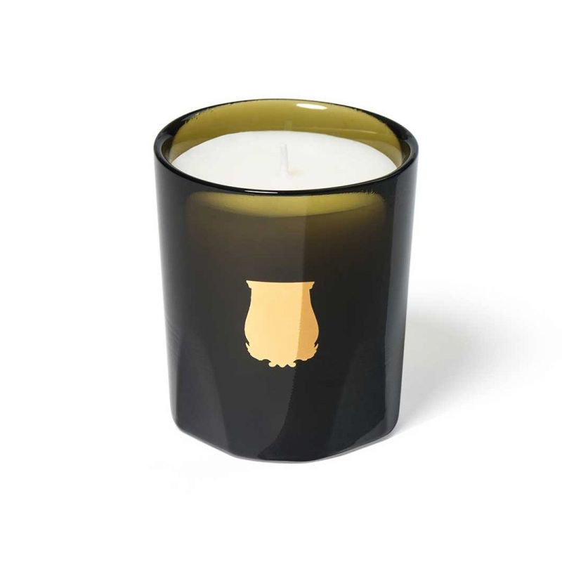 Ernesto Candle