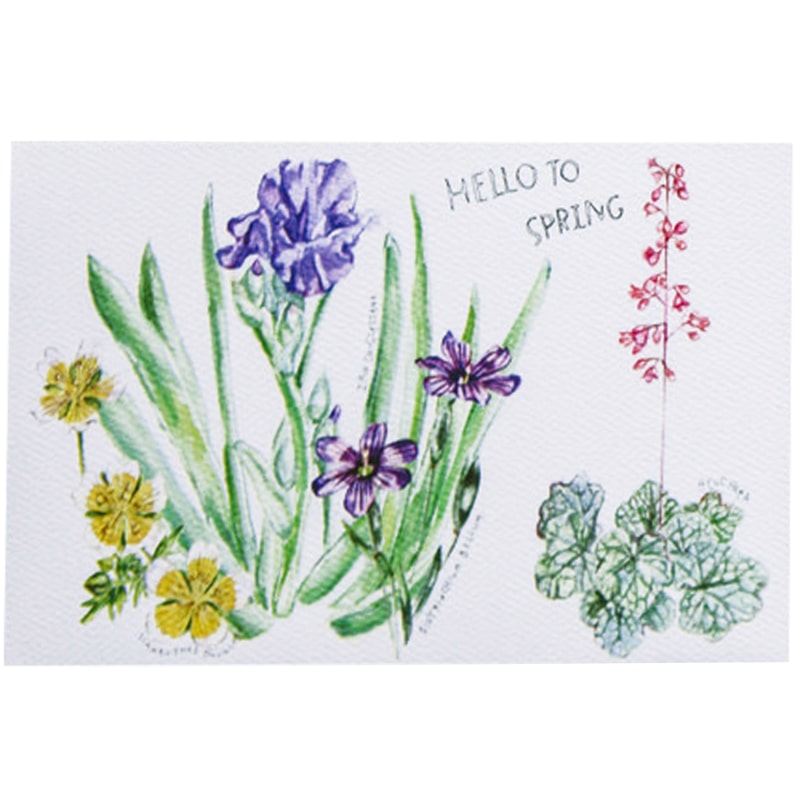 CA Native Plant Postcard Set