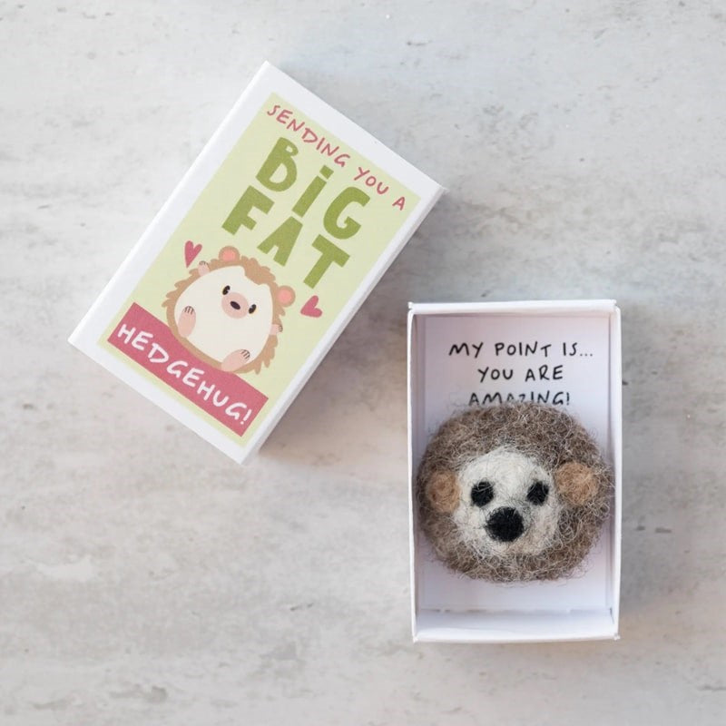 Sending You A Hedgehug In A Matchbox | Beautyhabit