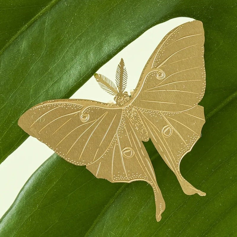 Plant Animal Decoration - Luna Moth | Beautyhabit