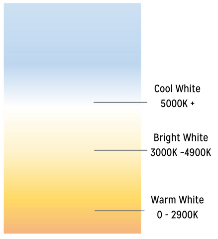 Kelvin Scale