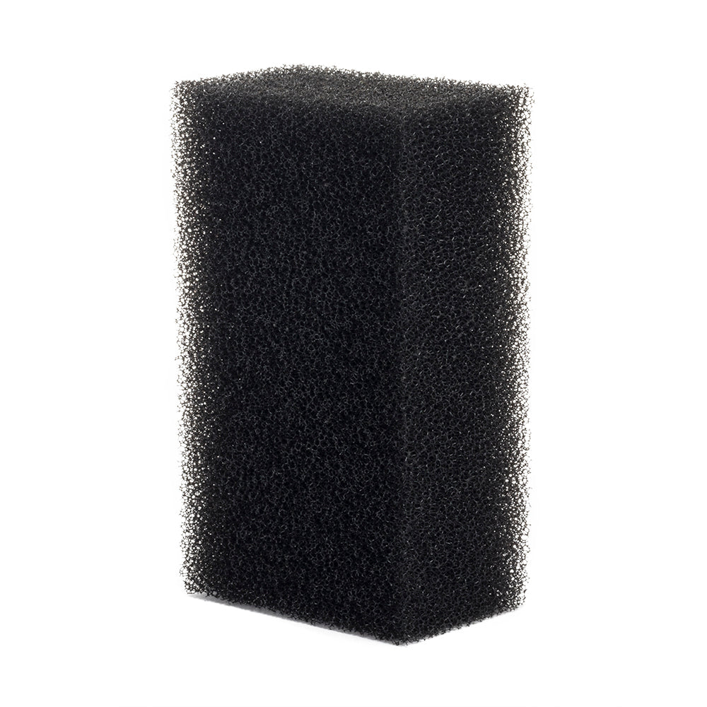 Paul Lashton Cleaning Sponge