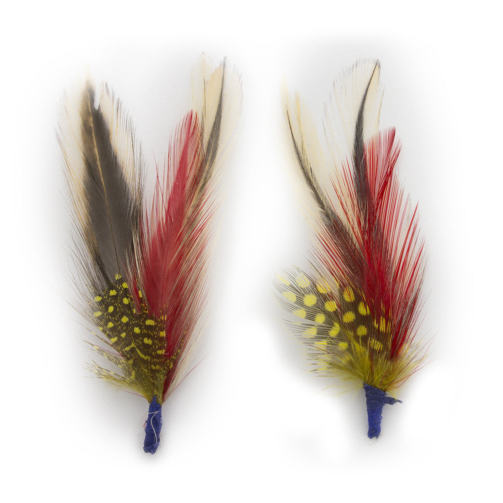 Paul Lashton Colorful Bird Feathers - Ultrafino