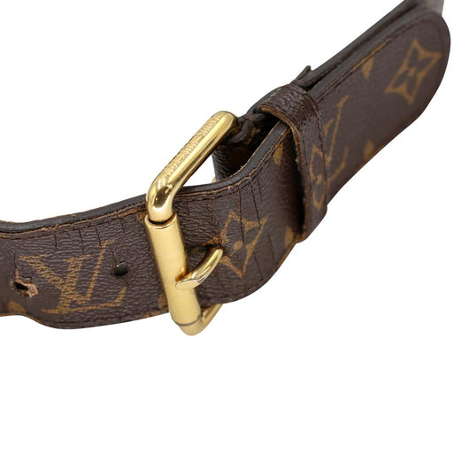 Louis Vuitton M6945 Belt Damier Canvas