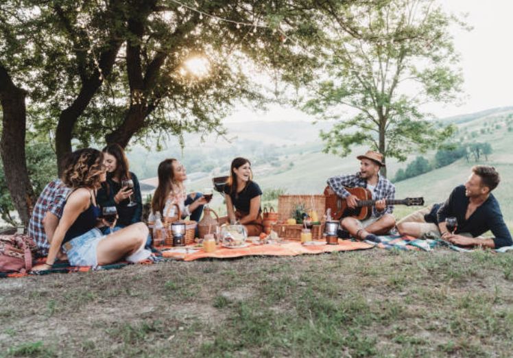 picnic mat