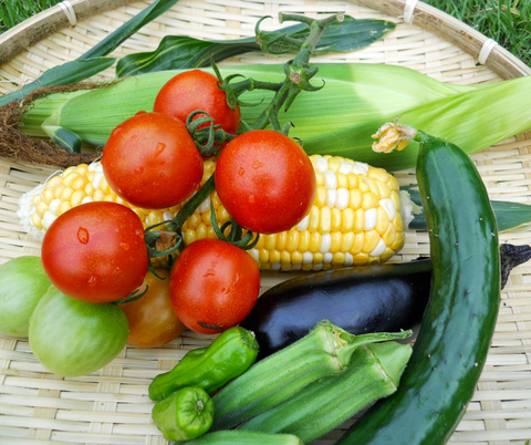 Try these spectacular veggie side dishes 