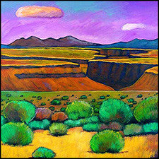 taos canyon rio grande new mexico art prints johnathan harris