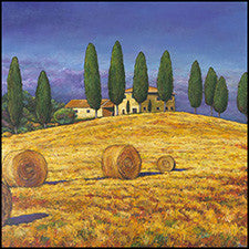 tuscan gold italy art landscape vineyard prints johnathan harris
