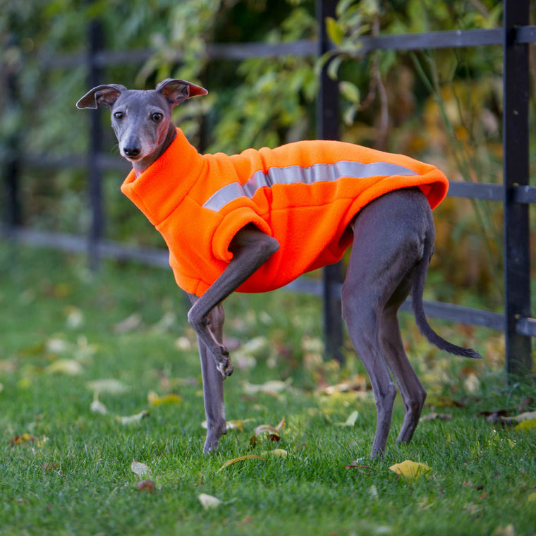 whippet sweaters