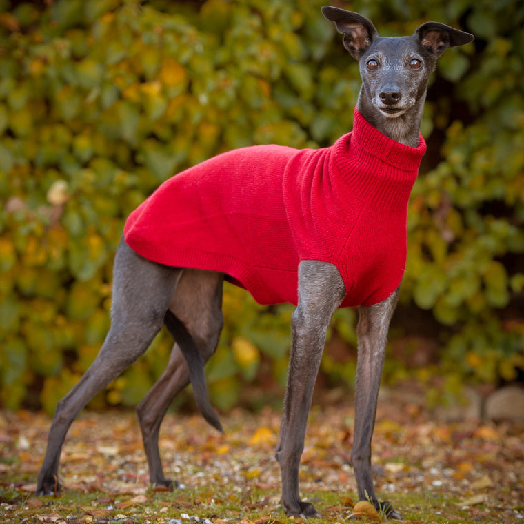 whippet sweaters