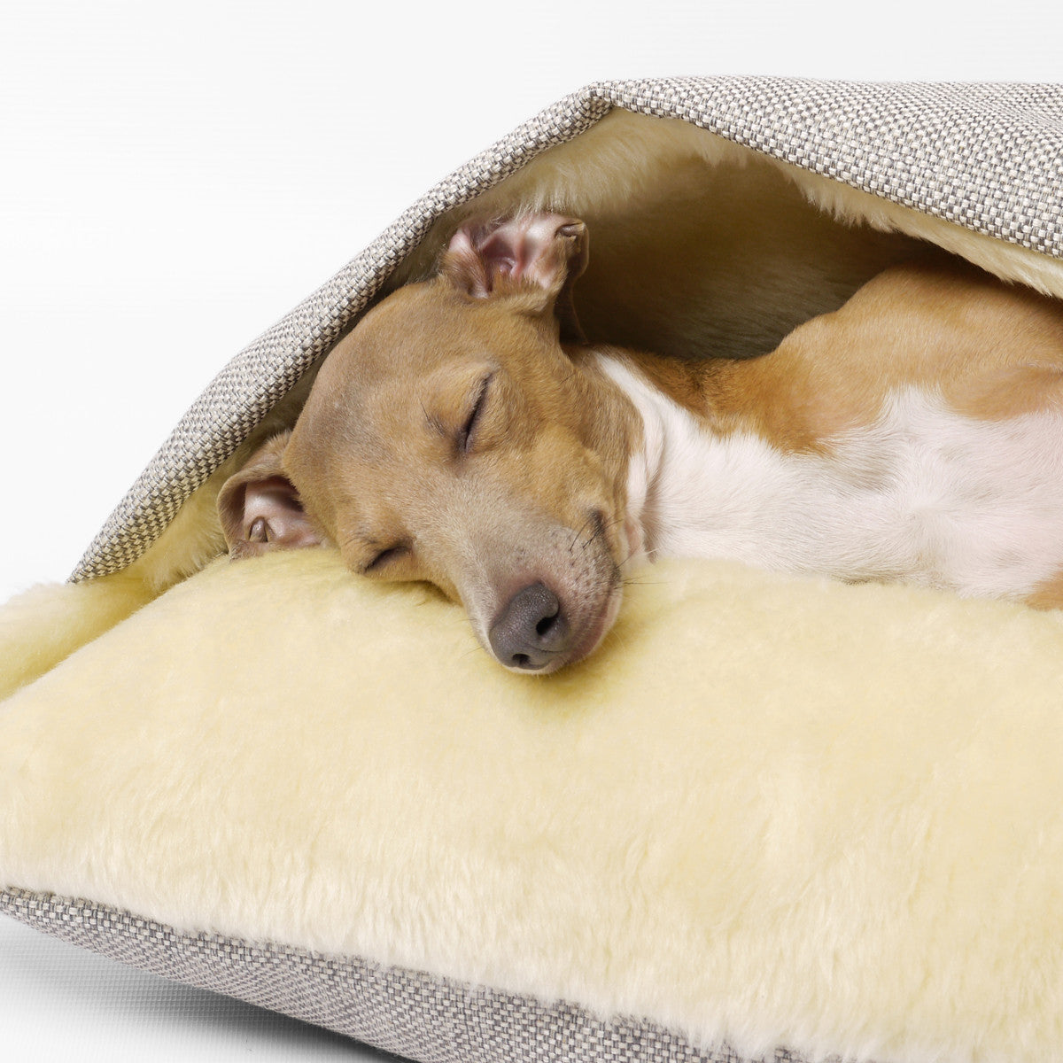 pet snuggle bed