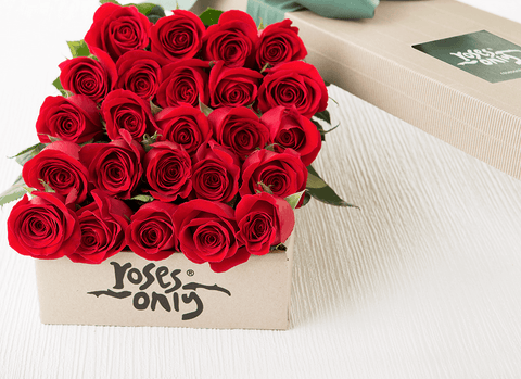 24 red roses