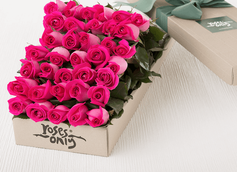 36 pink roses