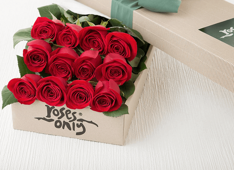 Valentine's Day 12 Long Stemmed Red Roses