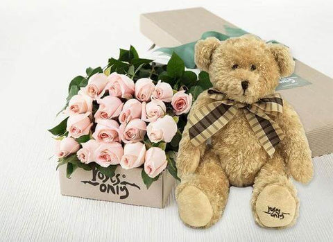 Pink Roses with teddy