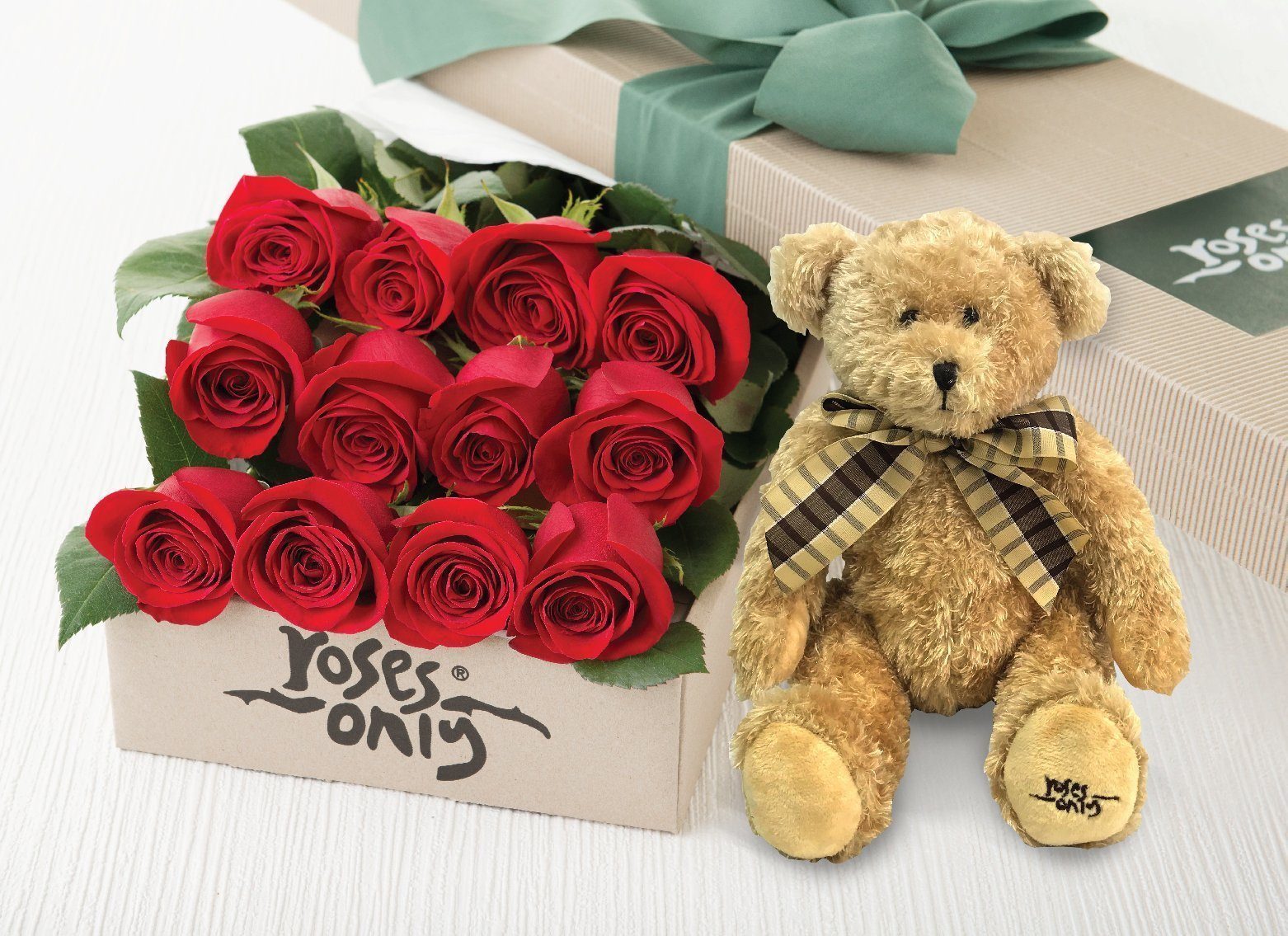 rose teddy bear in box