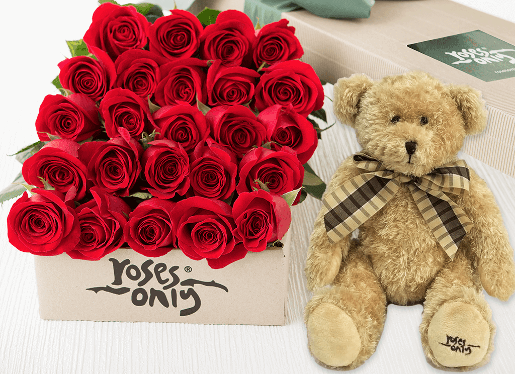 teddy bear red rose