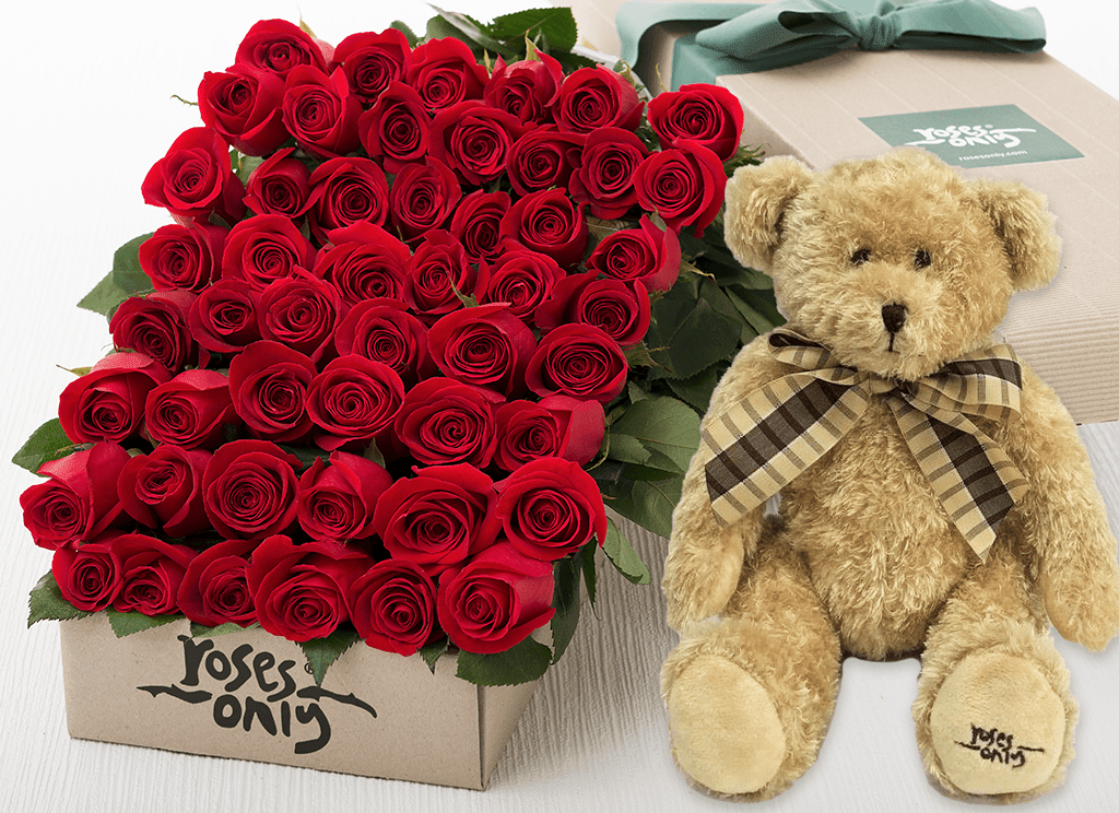 teddy of roses