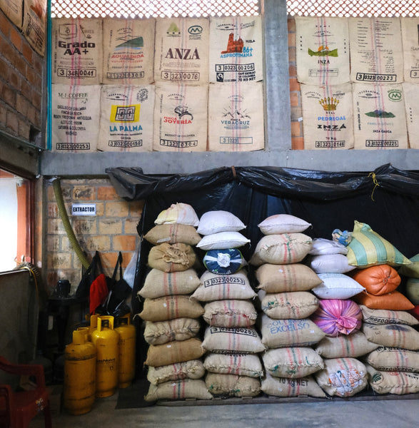 large bags of green coffee in burlap