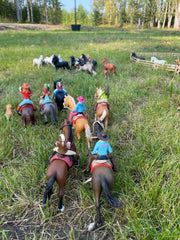 Finding a wild herd while trail riding