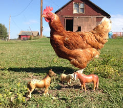 Horses and Giant Chicken By Brenda N