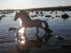 Low tide on the bay of fundy