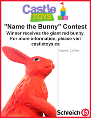 "Name the Bunny" Winner! Congrats to Allie for winning the big red bunny!