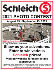 Castle Toys Schleich 2021 Photo Contest