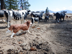 On the Cattle Drive