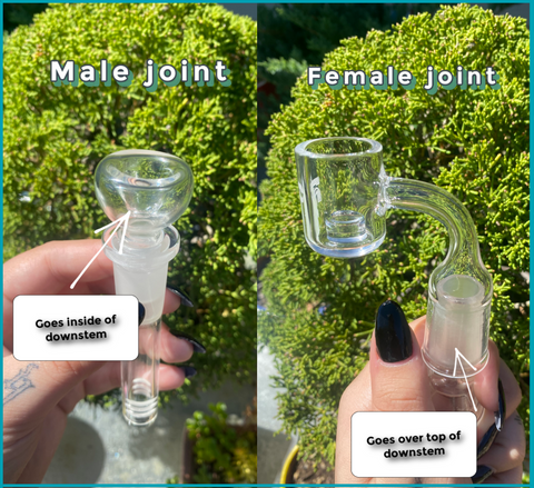 Male vs Female joint 