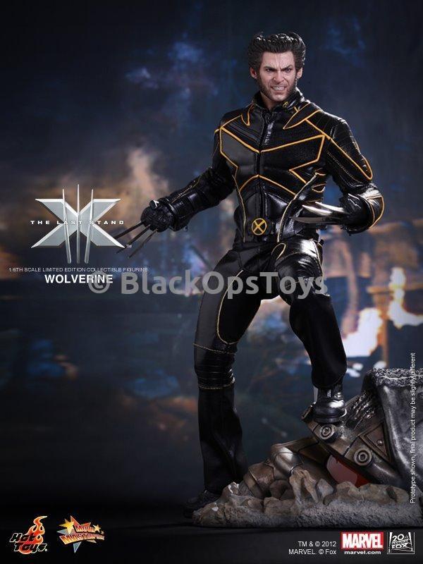 X Men Last Stand Wolverine Male Snarling Head Sculpt Blackopstoys