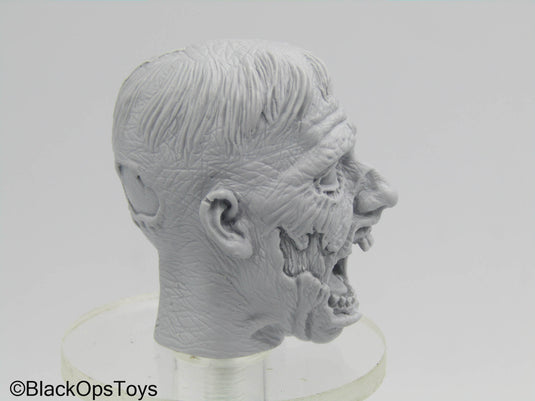 Custom 1/6 Scale The walking dead Rick Grimes Head Sculpt