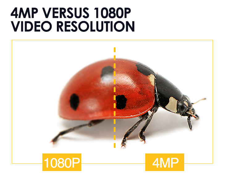 1080p Resolution Q See