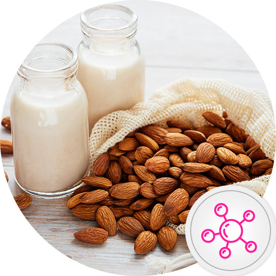 Antioxidant Properties - Almonds