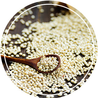 Superfoods - Sorghum